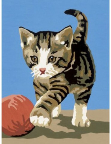 Kit canevas 15 x 20 cm chat