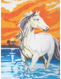 Kit canevas 15 x 20 cm multicolore