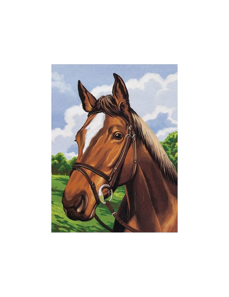 Kit canevas 15 x 20 cm multicolore Kit canevas 15 x 20 cm multicolore