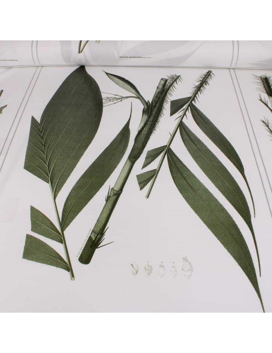 Tissu cretonne carré botanique blanc