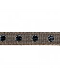 Galon à pois 10 mm beige