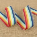 Elastique stripe multicolore 40 mm Elastique stripe multicolore 40 mm