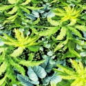 Tissu viscose nature tropicale vert