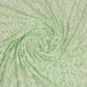 Coupon dentelle vert nil 300 x 160 cm
