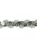 Galon paillettes 18 mm argenté Galon paillettes 18 mm argenté