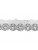 Broderie sur tulle 20 mm gris Broderie sur tulle 20 mm gris