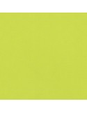 Tissu polyester antitaches vert Tissu polyester antitaches vert