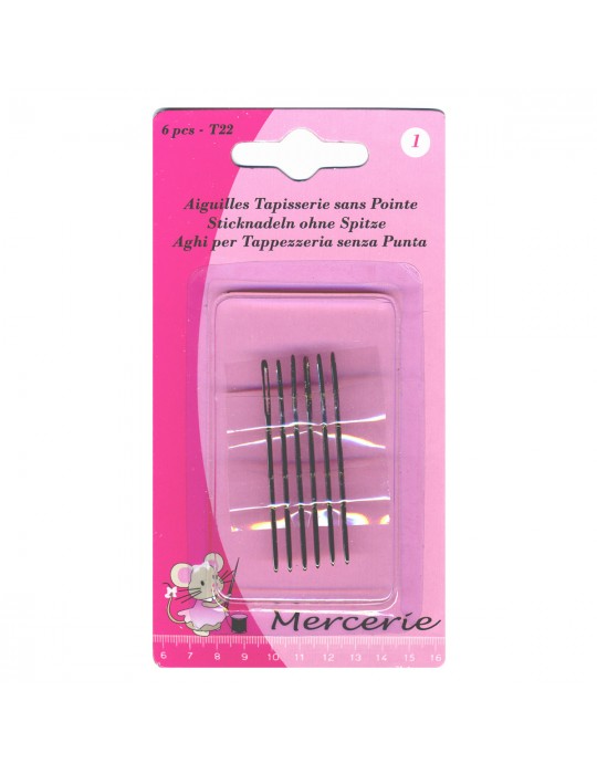 Lot de 6 aiguilles à tapisserie sans pointe T22