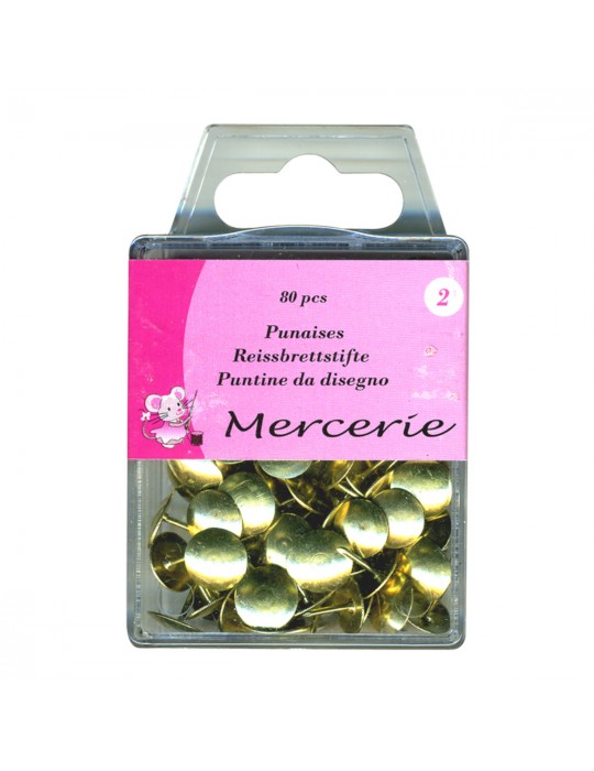 Boîte de 80 punaises