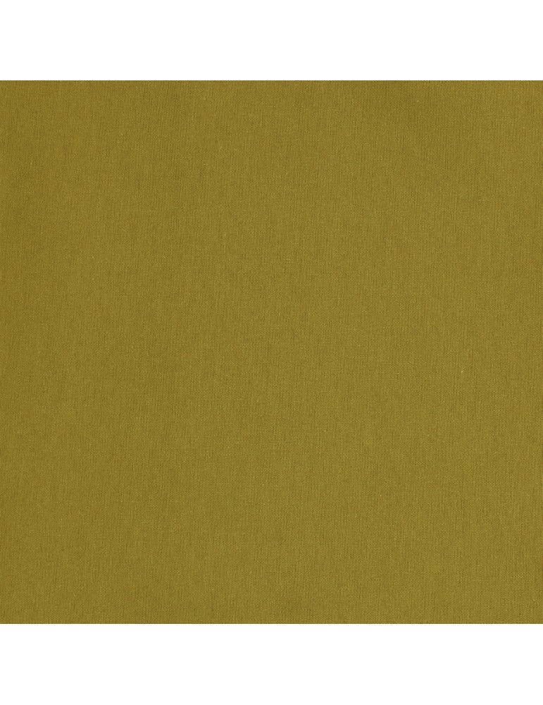 Coupon ameublement uni 150 x 280 cm vert Coupon ameublement uni 150 x 280 cm vert