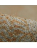 Tissu lainage gris / orange Tissu lainage gris / orange