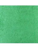 Panne de velours vert Panne de velours vert