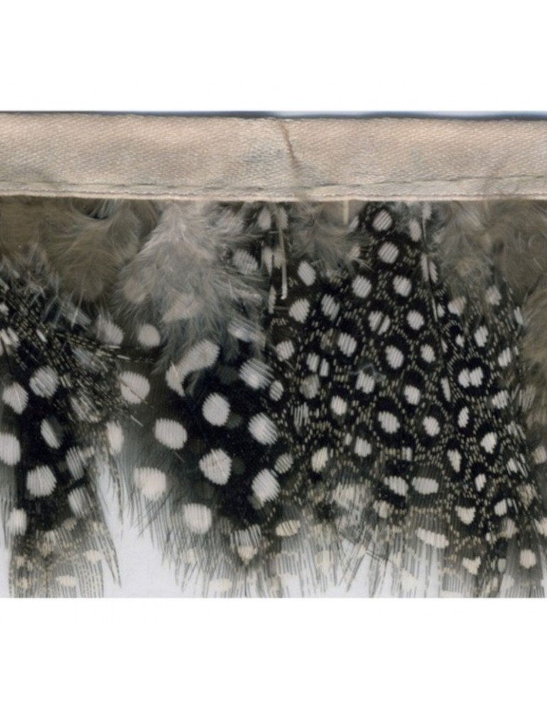 Franges plumes perdrix 55 mm noir Franges plumes perdrix 55 mm noir