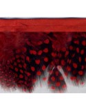 Franges plumes perdrix 55 mm rouge Franges plumes perdrix 55 mm rouge