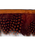 Franges plumes perdrix 55 mm orange Franges plumes perdrix 55 mm orange