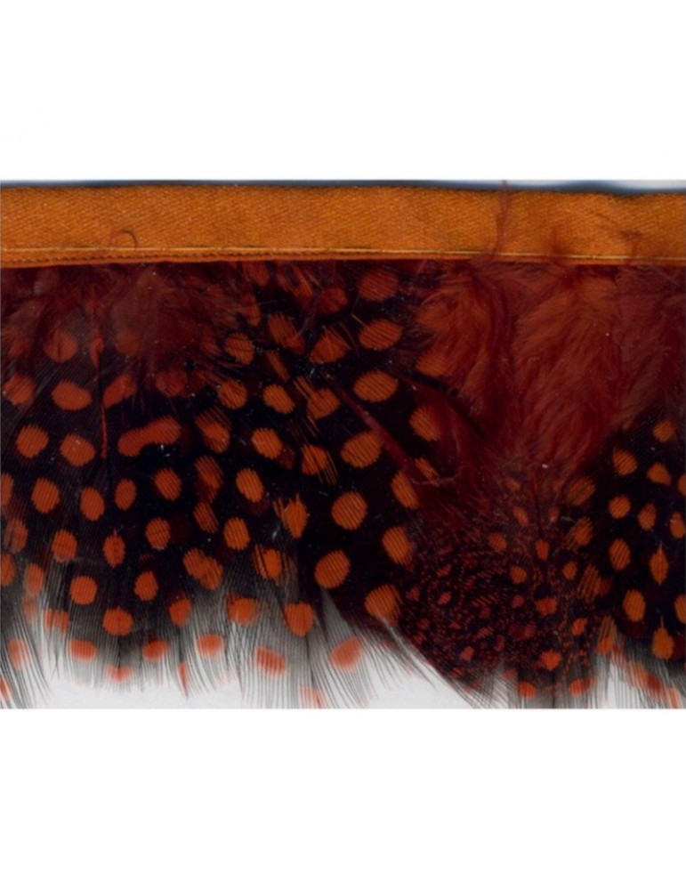 Franges plumes perdrix 55 mm orange Franges plumes perdrix 55 mm orange